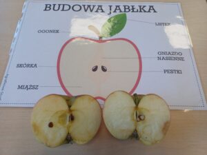 grafika jabłka oraz jabłka