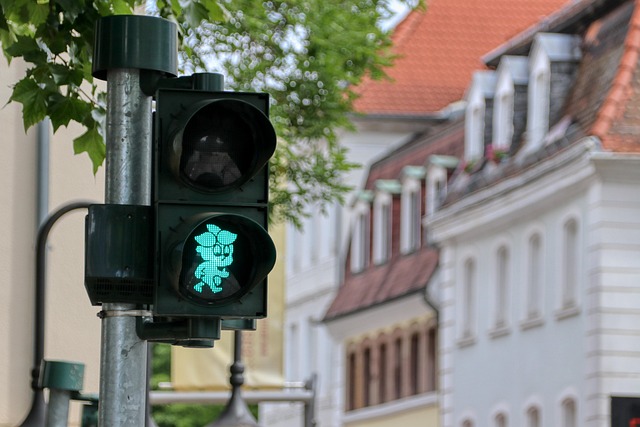sygnalizacja świetlna, wskazujący zielone światło w tle widać budynki